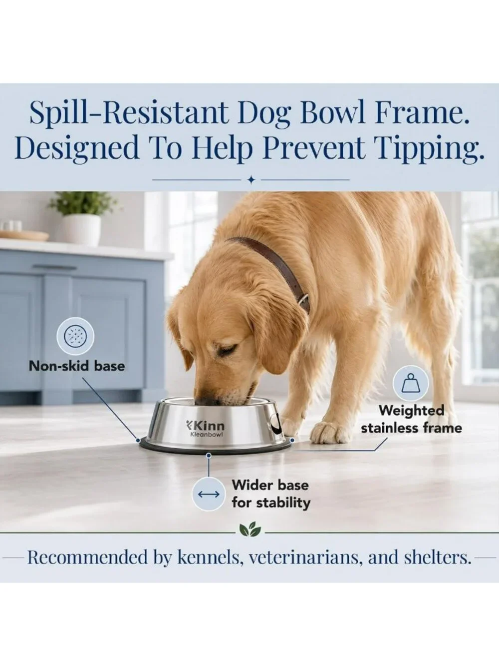 Stainless Steel Pet Bowls Set of 2 - 24 oz, Durable & Easy to Clean Design